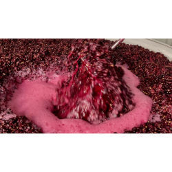 Pinot Noir, Estate, Martinborough, Dublin St., 2020 - NZs Bedste Pinot