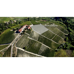 Barolo, Aeroplanservaj, Domenico Clerico, 2013 - 6 flasker - Leveres i trske