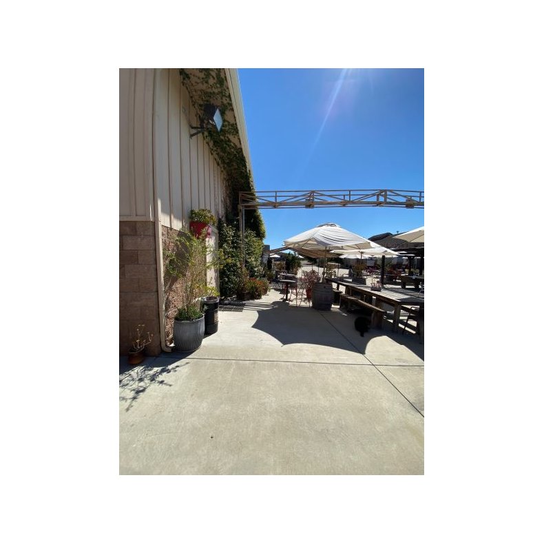 Cabernet Sauvignon, Block 15, Estelle Vineyard, Santa Ynez Valley, Babcock, 2019