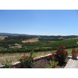 Cabernet Sauvignon, Reserve, Napa Valley, Russell, 2022