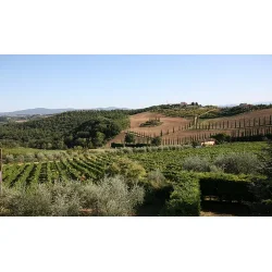  Passione Divina, Passione Divina/Russell, 2017 - Dobbeltmagnum - 3 Liter