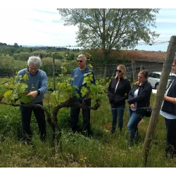  Passione Divina, Passione Divina/Russell, 2017 - Dobbeltmagnum - 3 Liter