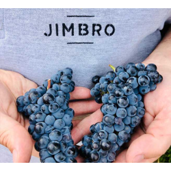 Jimbro Brunal, Castilla y Leon, Bodegas Entrebancales, 2016 - Magnum