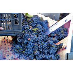  No Name, Rhone, Roucas Toumba/Herve Lichtl, 2023