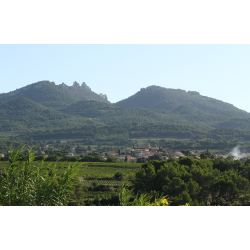  No Name, Rhone, Roucas Toumba/Herve Lichtl, 2023