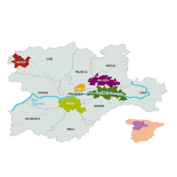 Verdejo, Cimbron Seleccion, Rueda, Castilla y Leon, Felix Sanz, 2024