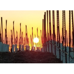 Dani, Passione Divina/Russell,  2019 - SPAR 60%