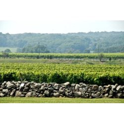 Reflexion, Willow Creek, Paso Robles, Russell Family Vineyard, 2018 - Magnum