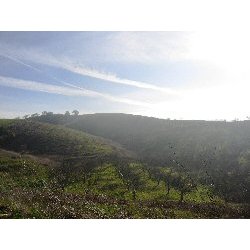 Reflexion, Willow Creek, Paso Robles, Russell Family Vineyard, 2018 - Magnum