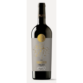 Tempranillo, Salgadero, Toro, Castilla y Len, Coral Duero,  2020