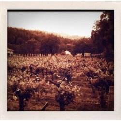 Grenache, Coat, Calistoga, Napa Valley, Shypoke, 2022 - Magnum