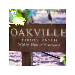 Cabernet Sauvignon, Dantes Block, Oakville, Napa Valley, Hoopes, 2015