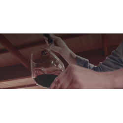 Tempranillo, EnVena, Toro, Castilla y Len, Coral Duero,  2022