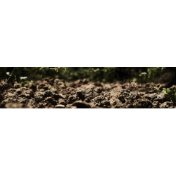 Field Blend Las Contiesas, Tierra del Vino de Zamora, Castilla y Le�n, Vinas del Cenit, 2022