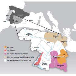 Jimbro Puesta en Cruz, Castilla y Leon, Bodegas Entrebancales, 2018