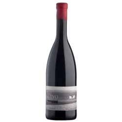 Tempranillo, Valnuevo Selecci�n, Toro, Castilla y Leon, Tardencuba, 2018