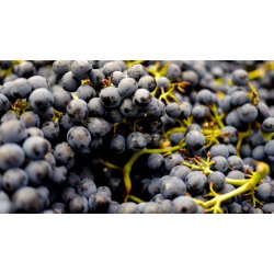 Pinot Noir, Estate, Martinborough, Dublin St., 2019