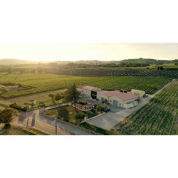 Cotes du Rhone, Blanc, �leve en fut de Chene, Rhone, Domaine Saint Vincent, 2024