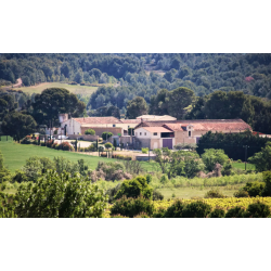 D�sir Blanc, Pays d�Herault, La Croix Gratiot, 2025