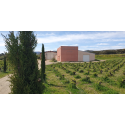 Primus, Faugeres, Mas des Capitelles, 2020