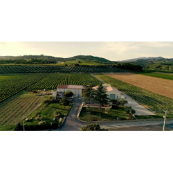 Vinsobres, Cuv�e Saint Pierre, Rhone, Domaine Saint Vincent, 2023