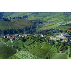 Barolo, Santo Stefano di Perno, Raineri, 2017