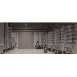 Tempranillo, Salgadero, Toro, Castilla y Len, Coral Duero,  2020