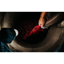 Syrah, Cerise, Pays d�Herault, La Croix Gratiot, 2025 - Magnum