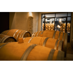 Cotes du Rhone Village, Rhone, Domaine Saint Vincent, 2023