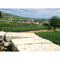 Chorey Les Beaune, Bourgogne, Domaine des Clos, 2022