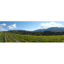 Cotes du Rhone Village, Rhone, Domaine Saint Vincent, 2023