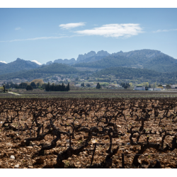 Gigondas, Les Terres, Rhone, Domaine de Pi�blanc, 2023