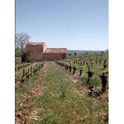 Navis, Languedoc, Mas D�Agalis, 2022 - Magnum