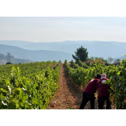 Perahigos 3, Sierra de Francia, Castilla y Leon, Perahigos, 2019