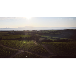 Chateauneuf du Pape, Tradition, Rhone, Domaine Raymond Usseglio, 2024