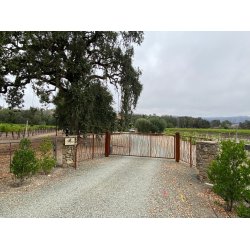 Petite Sirah, Different Kind of Blues, Calistoga, Napa Valley, Shypoke, 2023 - Magnum