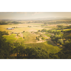 Pinot Noir, Keeler Estate Vineyard, Eola-Amity Hills, Authentique, 2017