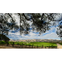 Chardonnay, Edna Valley, Stephen Ross, 2022