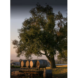 Pinot Noir, Estate, Carneros, Sonoma, Schug Winery, 2021