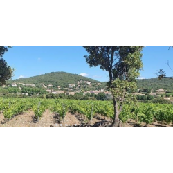 Carignan, Faugeres, Mas des Capitelles, 2017