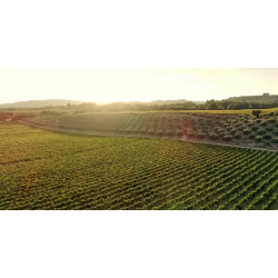 Vinsobres, Cuv�e Saint Pierre, Rhone, Domaine Saint Vincent, 2023