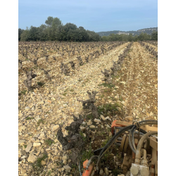 Le Chant du Sorbier, Coteaux du Languedoc, Languedoc, Domaine Mirabel, 2024