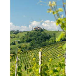 Barolo del Commune di La Morra, Marcarini, 2021