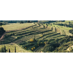 Gigondas, Les Terres, Rhone, Domaine de Pi�blanc, 2023