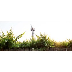 Cabernet Sauvignon, Oakville, Napa Valley, Hoopes, 2015