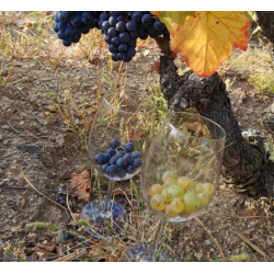 Jimbro 3, Castilla y Leon, Bodegas Entrebancales, 2018