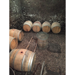 Yo No Pueda Mas, Languedoc, Mas D�Agalis, 2024 - Magnum